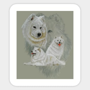 Samoyed Medley Sticker